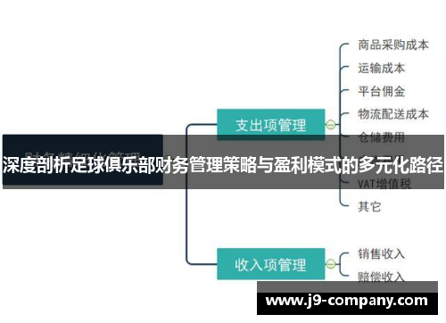 深度剖析足球俱乐部财务管理策略与盈利模式的多元化路径